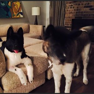 Tracking for Tracy. 💕